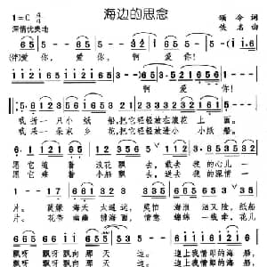 海边的思念_通俗唱法乐谱_词曲:颂今 佚名