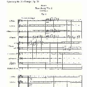 D大调第二交响曲, Op.73第一乐章