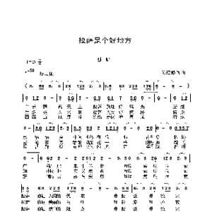 拉萨是个好地方_歌谱投稿_词曲:袁浩 袁浩