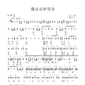 我在花中等你_歌曲简谱_词曲:王立文 张瑞孔