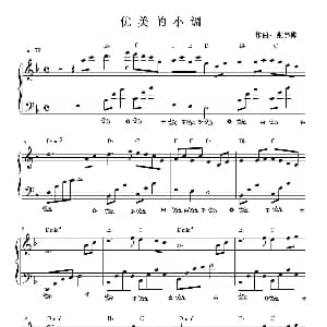 优美的小调 钢琴谱 张宇桦