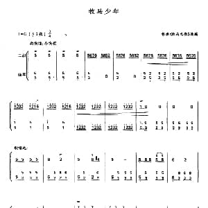 二胡谱 | 牧马少年 二胡 扬琴