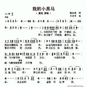 我的小黑马_歌曲简谱_词曲:杨松涛 吕学东