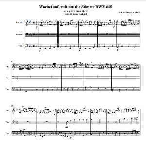 巴赫 醒来吧_歌谱投稿_词曲: 巴赫