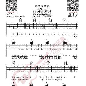 汪峰 怒放的生命 吉他谱_歌曲简谱