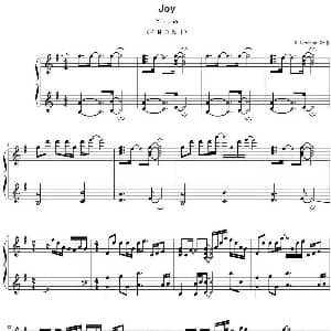 Joy 钢琴谱 Yiruma作曲 SilverRay制谱