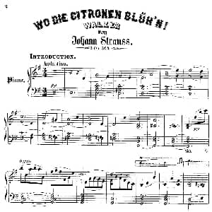 柠檬树花开的地方圆舞曲 钢琴谱 约翰 施特劳斯