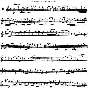 长笛曲谱 | 三十首基础及提高练习曲 NO.16 Garibold 加里波第