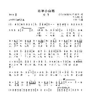 再唱小白杨_歌曲简谱_词曲:张杰/何沐阳/李冰雪 何沐阳