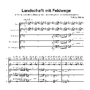 萨克斯谱 | Landschaft mit Feldwege 木管五重奏 总谱