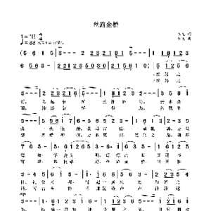 丝路金桥_歌曲简谱_词曲:袁龙 袁龙