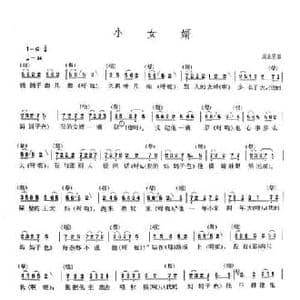 小女婿_民歌简谱
