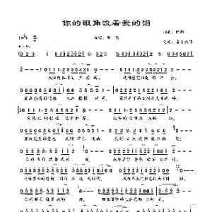你的眼角流着我的泪_歌曲简谱_词曲:阿郎 阿郎