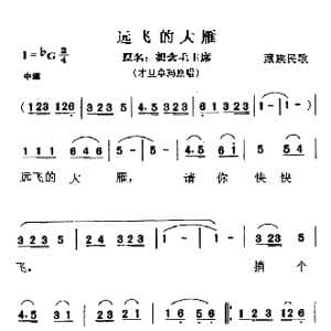 远飞的大雁_歌曲简谱