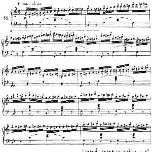 40首车尔尼Op.299钢琴快速练习曲 钢琴谱 车尔尼