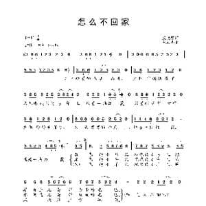 怎么不回家_歌谱投稿_词曲:虞文琴 朱思思
