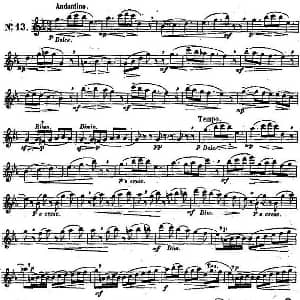 长笛曲谱 | 二十首练习曲作品131号 NO.13 Garibold 加里波第
