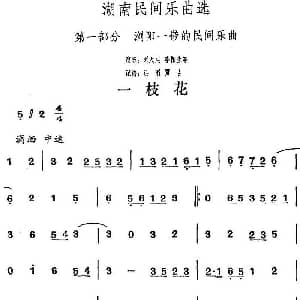 一枝花 湖南民间乐曲选 洪滔 贾古记谱