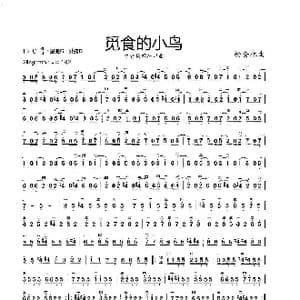 觅食的小鸟_歌曲简谱_词曲: 杨会林曲