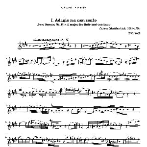 长笛曲谱 | Adagio Ma Non Tanto BWV1035 巴赫