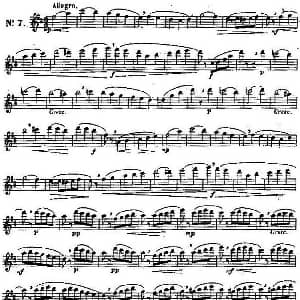长笛曲谱 | 二十首练习曲作品131号 NO.7 Garibold 加里波第
