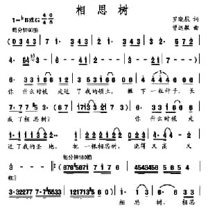 相思树_美声唱法乐谱_词曲:罗晓航 曾远敏