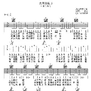 光阴的故事 吉他谱