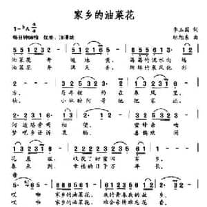 家乡的油菜花_民歌简谱_词曲:李玉国 胡旭东