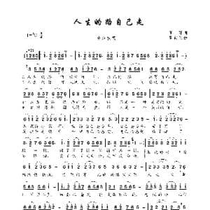 人生的路自己走_歌曲简谱_词曲:王环 黄向光