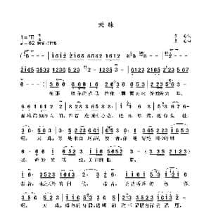 天珠_歌曲简谱_词曲:袁龙 袁龙