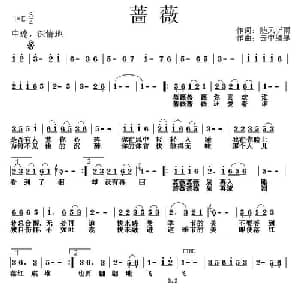 蔷薇_通俗唱法乐谱_词曲:随风听雨 云中缥缈