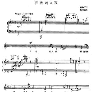月色迷人夜_美声唱法乐谱_词曲:黄淑子 朱良镇