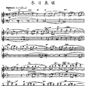 长笛曲谱 | 冬日来临 双长笛