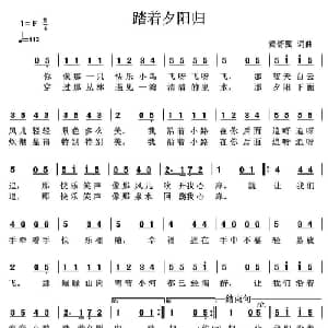 踏着夕阳归_通俗唱法乐谱_词曲:黄舒翼 黄舒翼