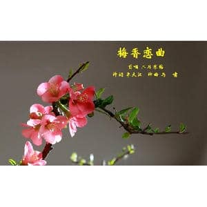 梅香恋曲_歌曲简谱_词曲:李大江 马啸