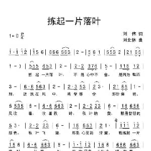 拣起一片落叶_通俗唱法乐谱_词曲:刘伟 刘北休