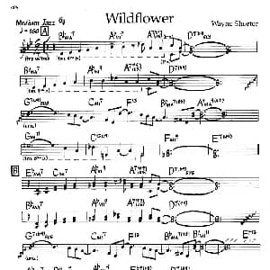 Wildflower 钢琴谱