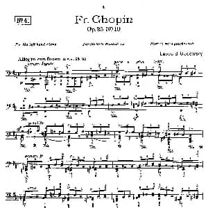 53首改编练习曲 钢琴谱 里奥鲍尔德 戈多夫斯基