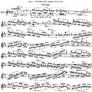 小提琴谱 | 马扎斯小提琴练习曲 Op.36 第一册 特殊练习曲 20