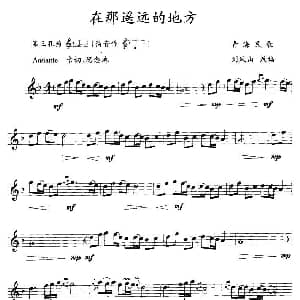 在那遥远的地方 竖笛