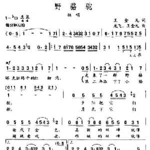 野骆驼_民歌简谱_词曲:王金元 龙飞 王金元