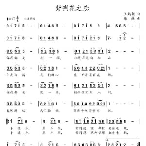 紫荆花之恋_通俗唱法乐谱_词曲:王炳朝 柴欣