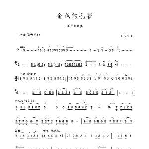 金色的孔雀_歌谱投稿_词曲: 于天佑