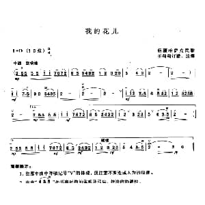 二胡谱 | 我的花儿 王莉莉订谱版 哈萨克民歌 王莉莉订谱