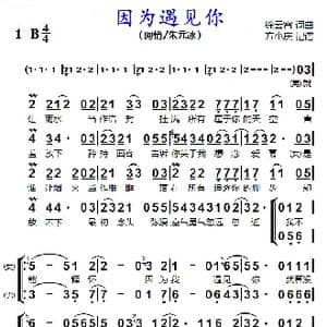 因为遇见你_歌曲简谱_词曲:徐云霞 徐云霞