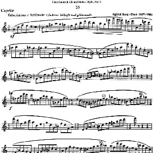 长笛曲谱 | 斯勒新老风格长笛练习重奏曲 第三部分 NO.26 Siegfried Thiele S. 斯勒