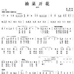 油菜开花_民歌简谱_词曲:蒋敏 芮文元