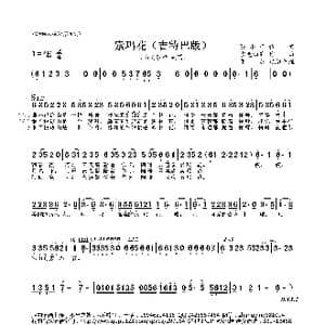 索玛花_歌曲简谱_词曲:陈小奇 吉克曲布
