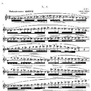 长笛曲谱 | 中高级练习 连奏与清晰吹奏练习 乐曲部分 风