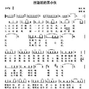 拉骆驼的黑小伙_民歌简谱_词曲:敏岐 张颂